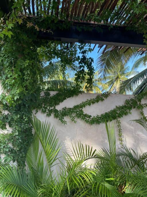 Casa Tulup Sisal Villa Exterior foto